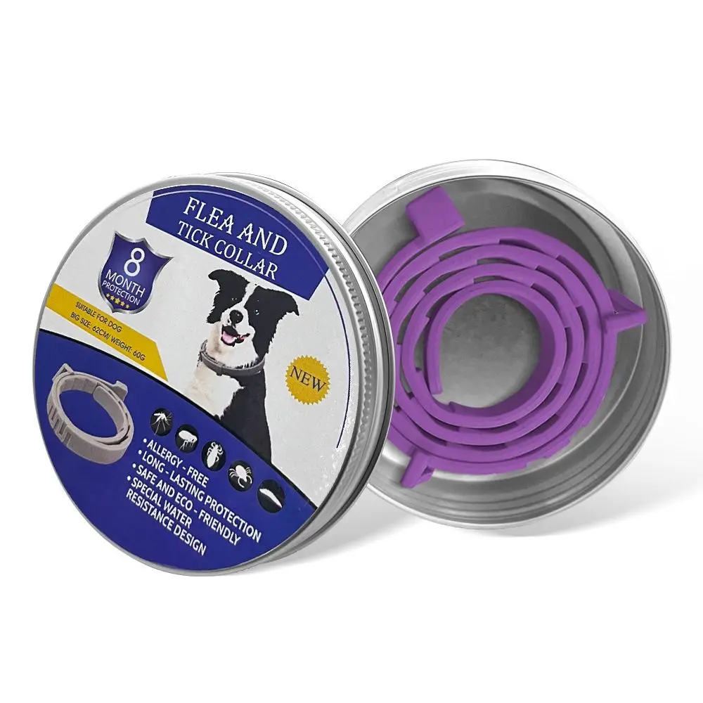 Dog Purple