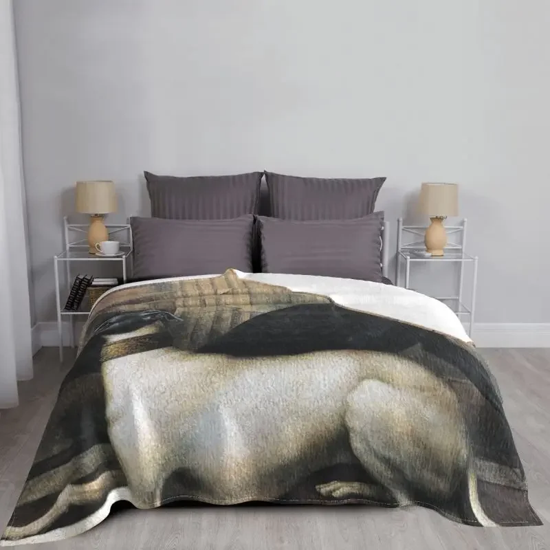 �׷����Ͽ�� ��� Į�� ���, ��⼺ �ε巯�� �ö��� ������Ʈ, ���Ͽ�� �� ������ ���, ���� �߿� ħ��