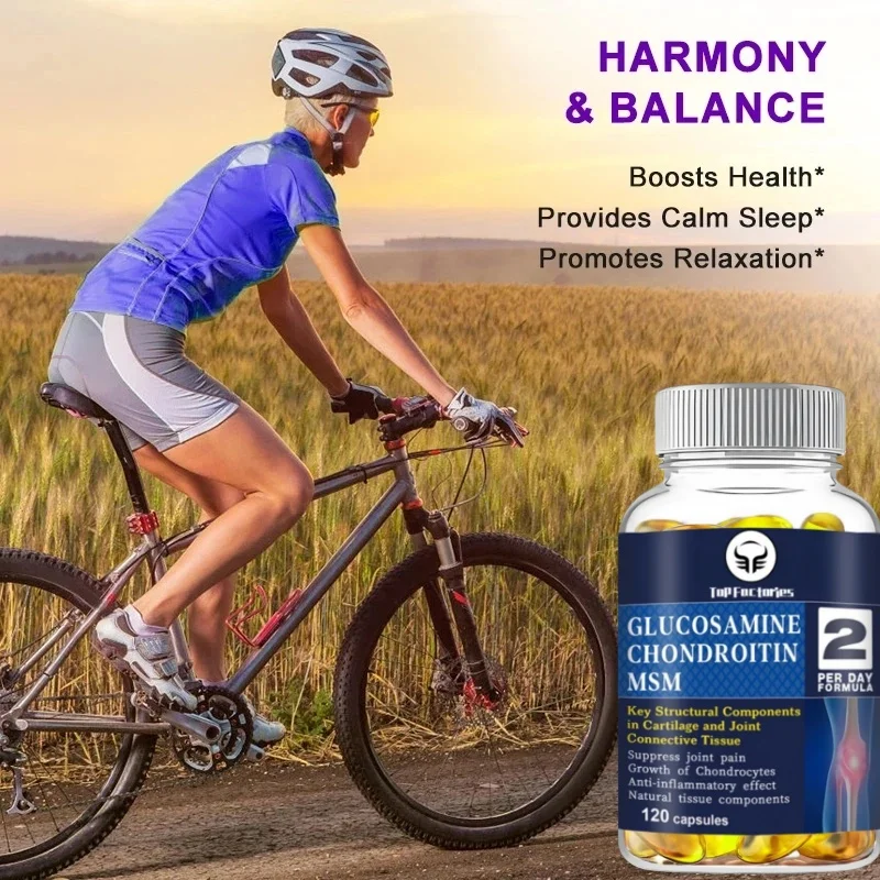 Glucosamine Chondroitin MSM 120 Capsules for Joint and Knee Health Immune System Non GMO Gluten Free Glucosamine Chondroitin Supplement
