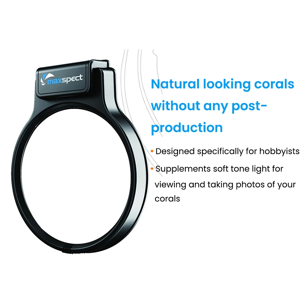 أكواريوم بيس مارينوس كورال فيجن نوكتيرنا لوبا ديب...