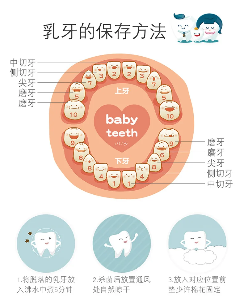 crianças diy caixa de dente casa de