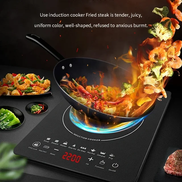 Intelligent Multi-Functional Induction Stove 2