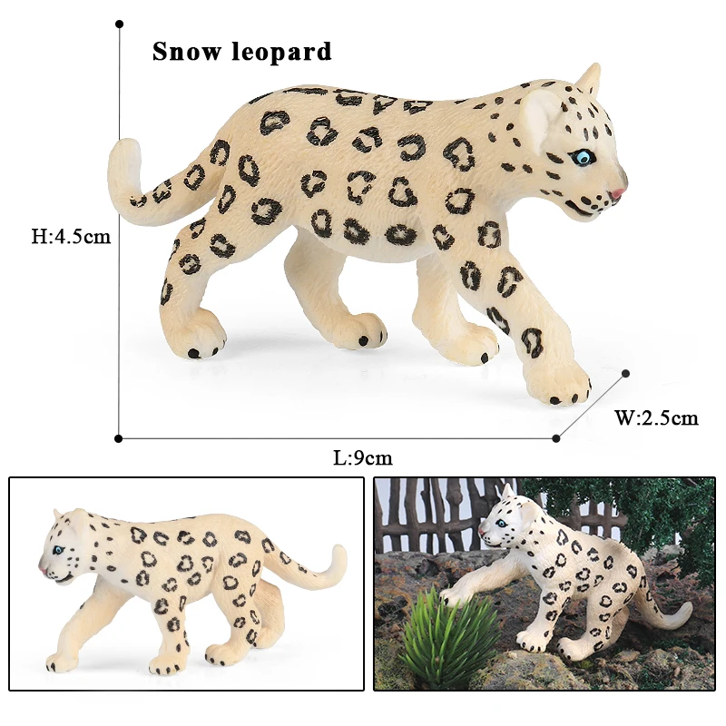 animals model