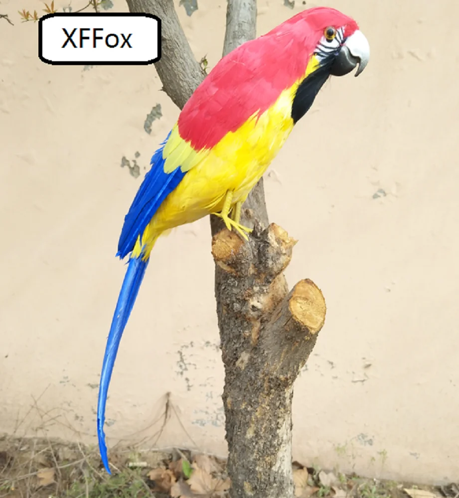 

Новинка, реальная жизнь, красный и желтый попугай, модель из пенопласта и перьев, стандартная птица, подарок, около 42 см xf0211