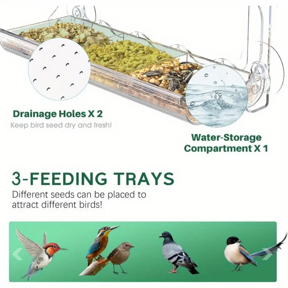 Bird Feeder Window Mounted for Outdoors with Suction Cups