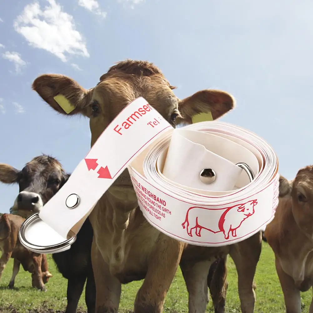 CattleMeasuringRulerTearproofWaterproofLightPortableAccurate