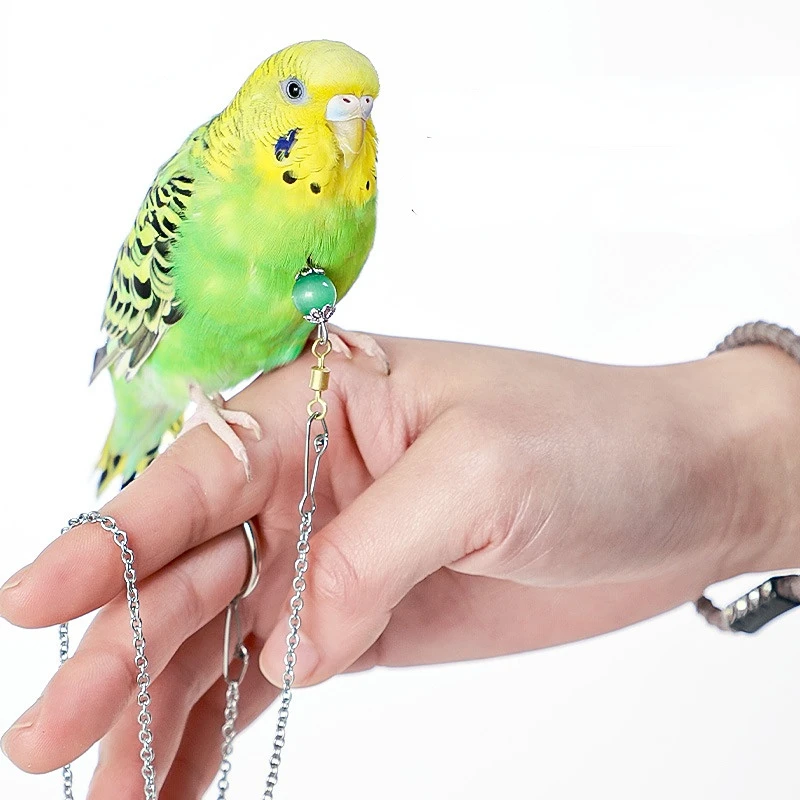 Bird Parrot Foot Chain Stainless Steel Ankle Foot Ring Stand Chain Outdoor Flying Training Bird Accessories
