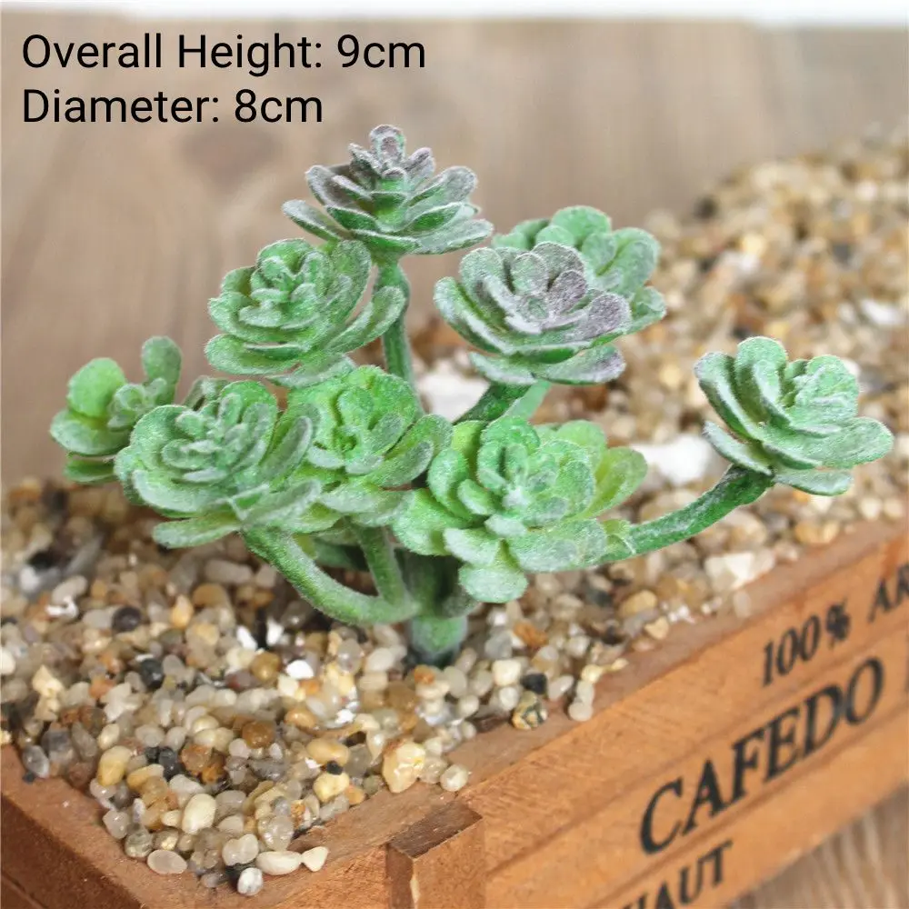 Vibrant Multicolor Flocking Succulent Plants