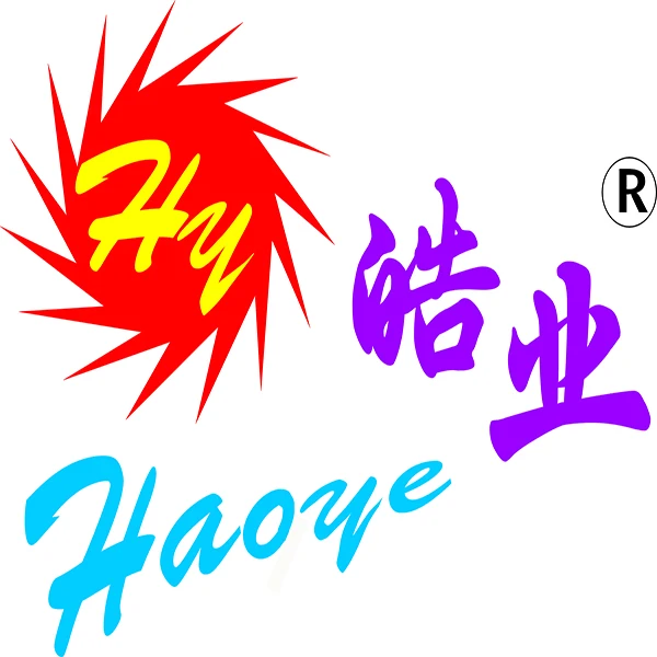 Haoye RC Store