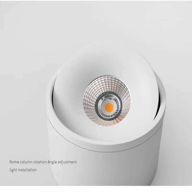 Modern Black LED Ceiling Light with Dimmable Rotatable Spot Light