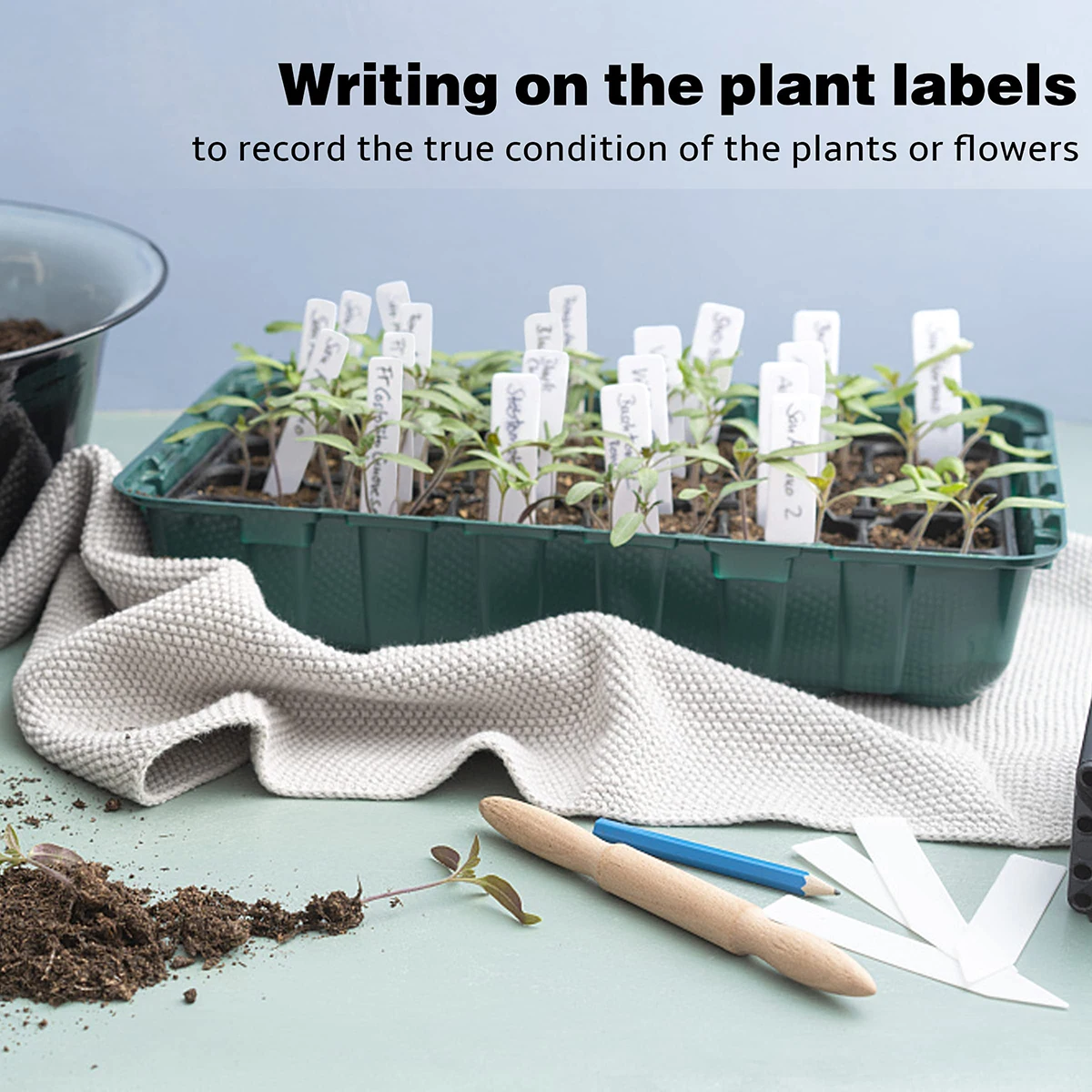 Plant Markers 100Pcs Set Plastic Plant Labels Name Tags for Seedlings Garden Labels Nursery Tags Seed