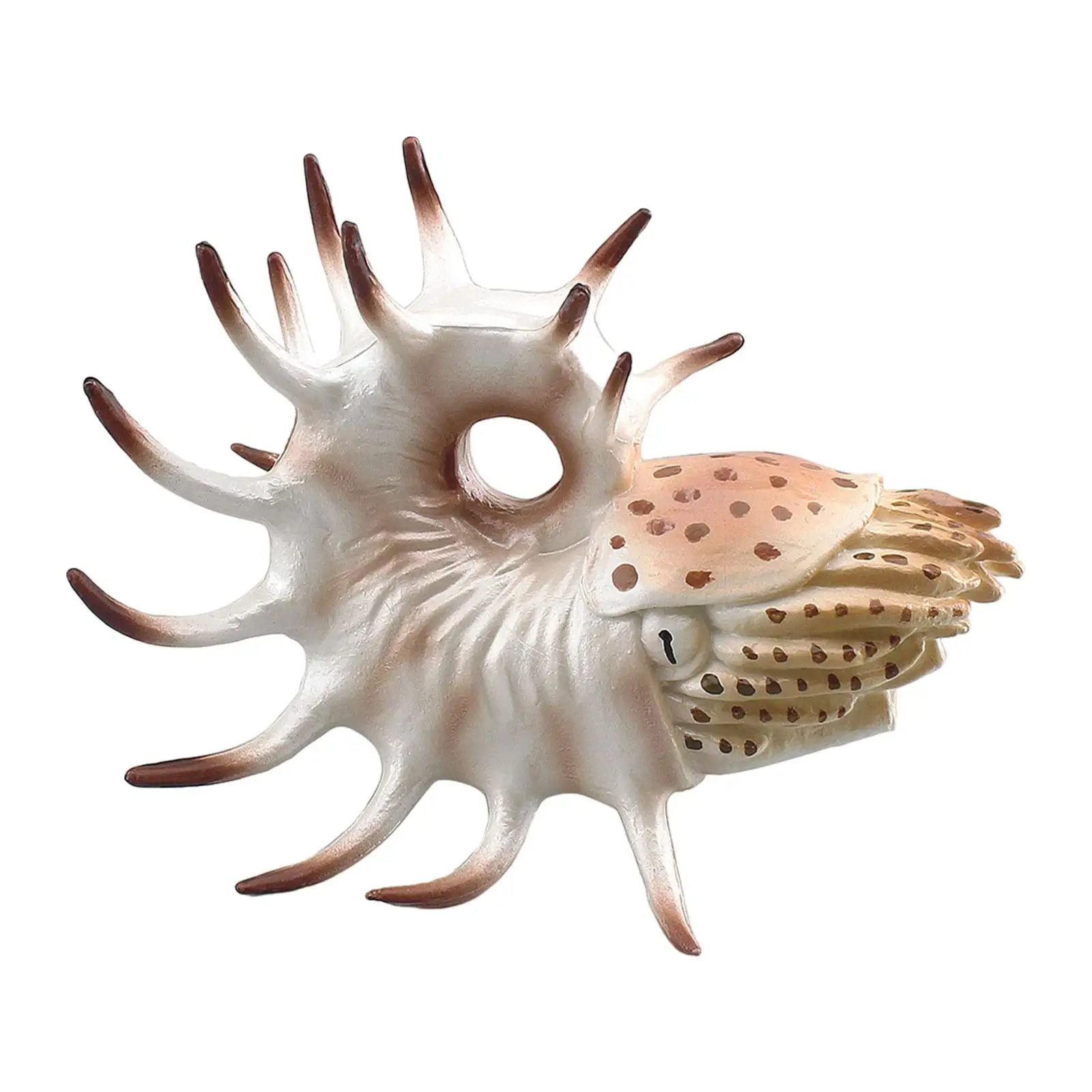 Sea Animal Figurine Model Desktop Decoration, Education Party Favor Teaching Prop Ornament Nautilus Model for Boy Kids Girls