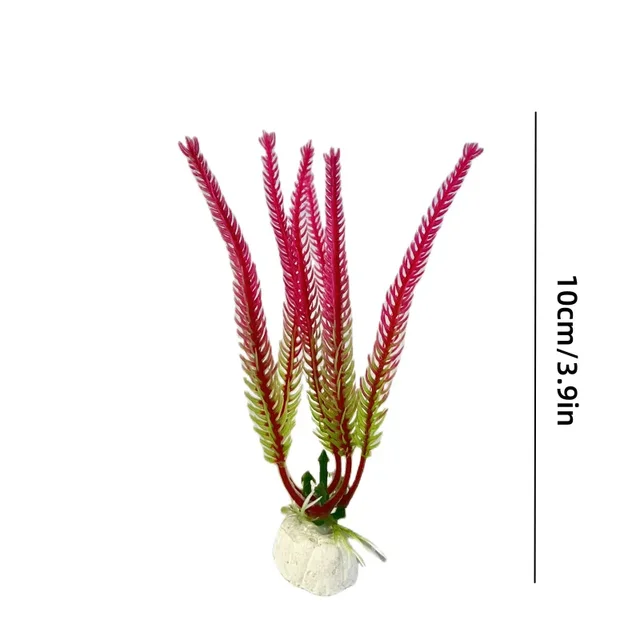 Image 36