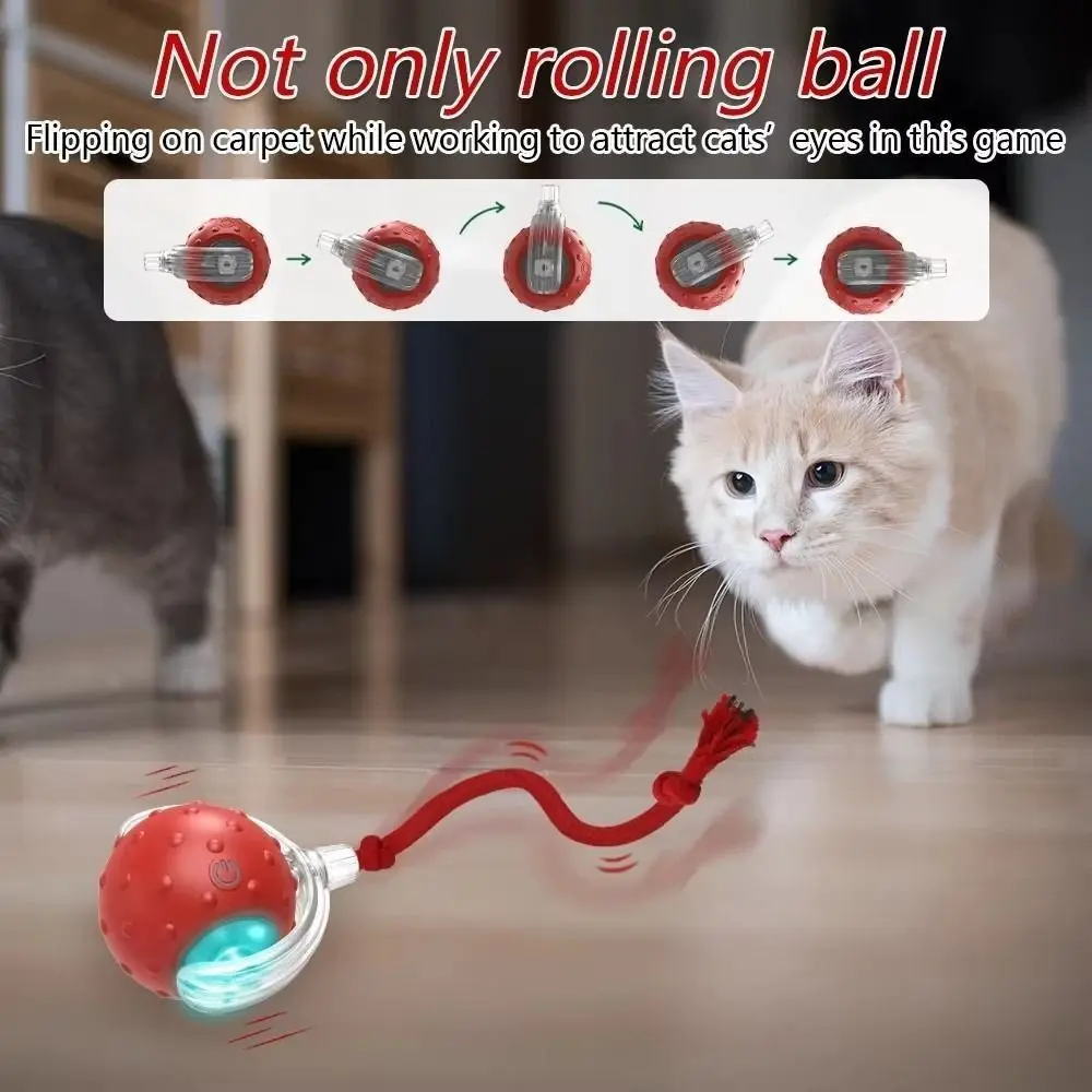 Automatic Smart Cat Toys Fast Rolling Rechargeable Dog Cat Training - PeticaDeals