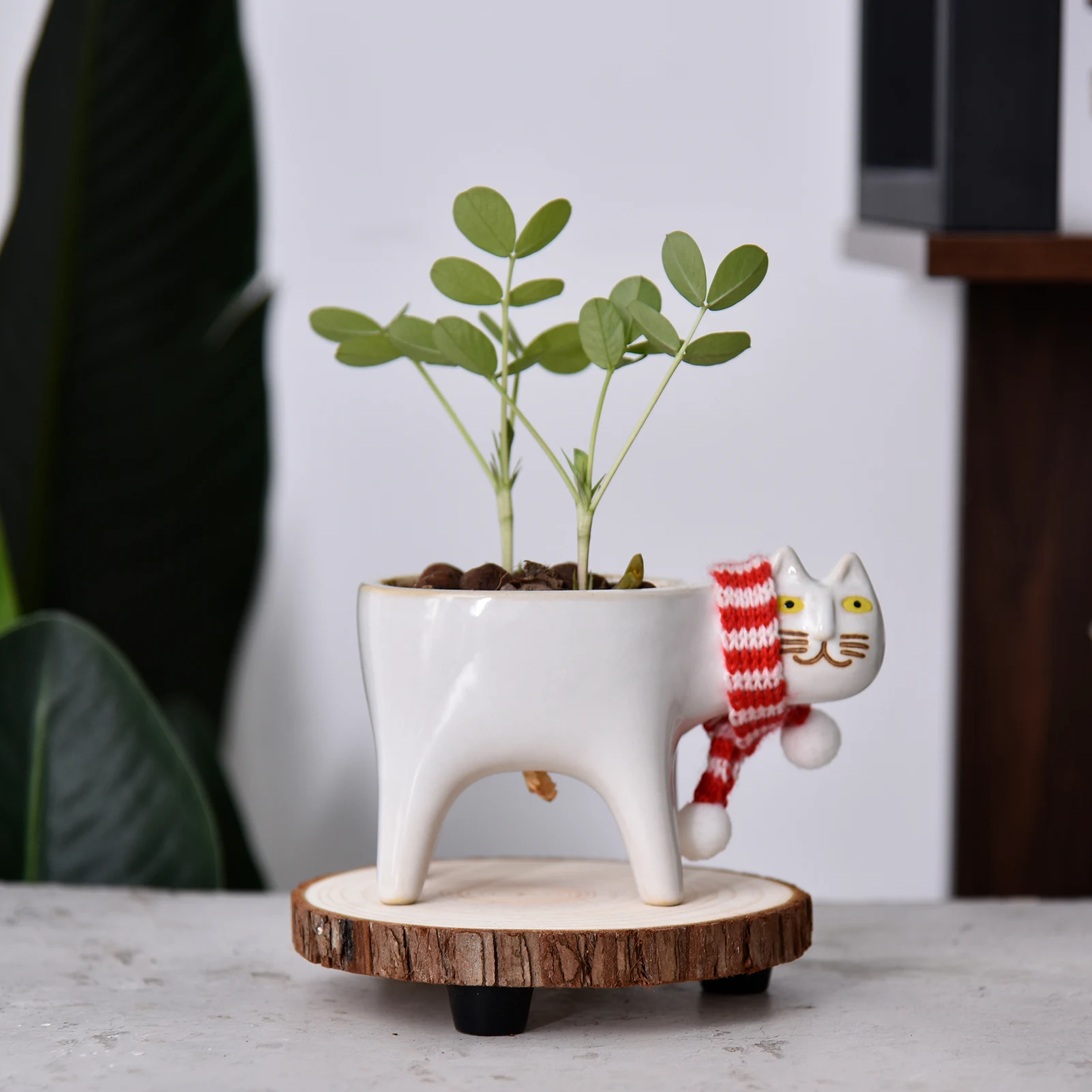 Wooden Planter Stand Kitchen Bathroom Countertop Tray Set Of 3 With S M L Size Space-saving Bathroom Shower Organizer For Plant