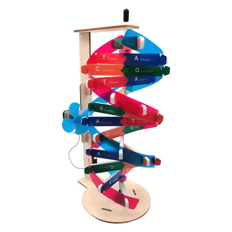 

Double Helix Model Scientific Educational DNAs Model Components Human Genes Learning Toy Teaching DNAs Helix Model Aid Biologic