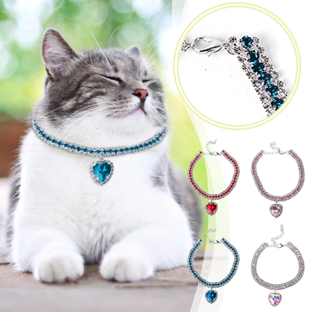 Cat Collar Camera - Colliers Et Laisses Pour Chats - AliExpress