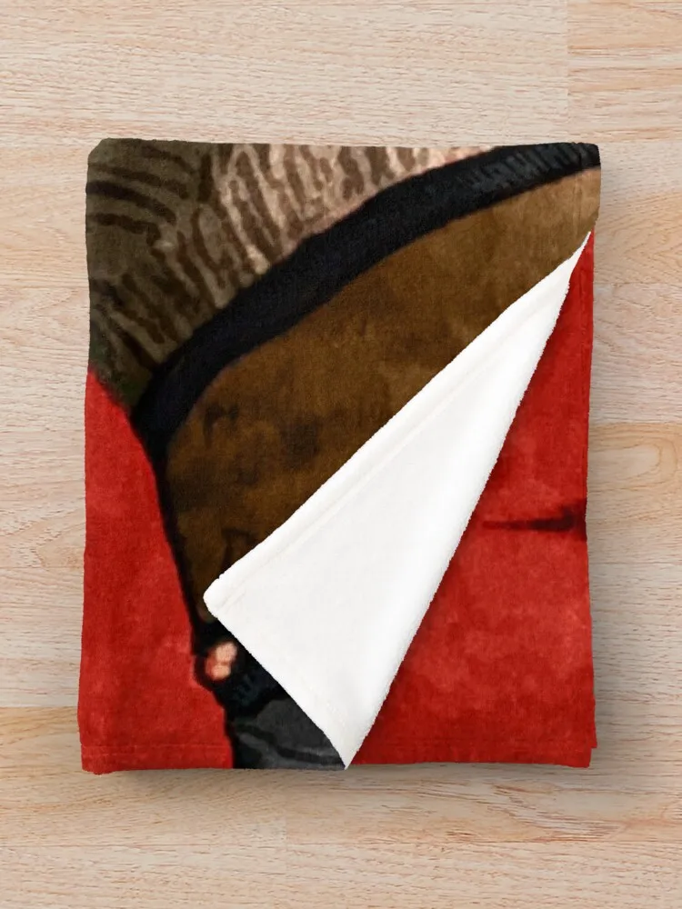 GKar ���� 1 ���ο� ���, �ʴ��� ���ο� ���, ���Ÿ� ħ��, ���� ��� ���