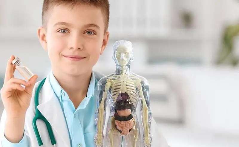 

Toys Interactive Human Body 3D Body Organ Model Realistic Soft Human Body Anatomy Model Education Toys Removable Organ Bone