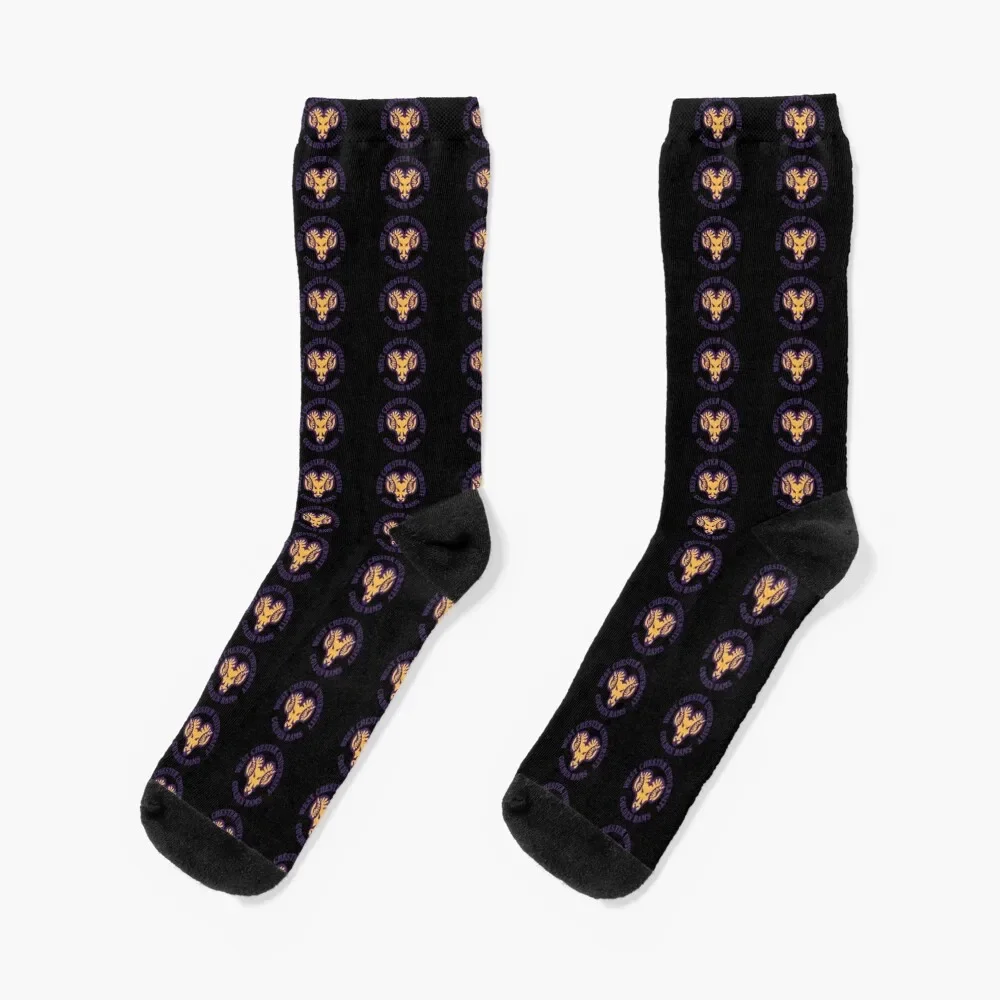 WEST CHESTER UNIVERSITY Socks designer brand anti-slip crazy Woman Socks Men's