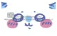 Thumbnail 27
