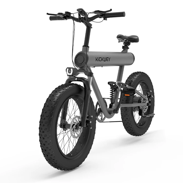 Full Suspension Ebik Kids Electric Bike 2