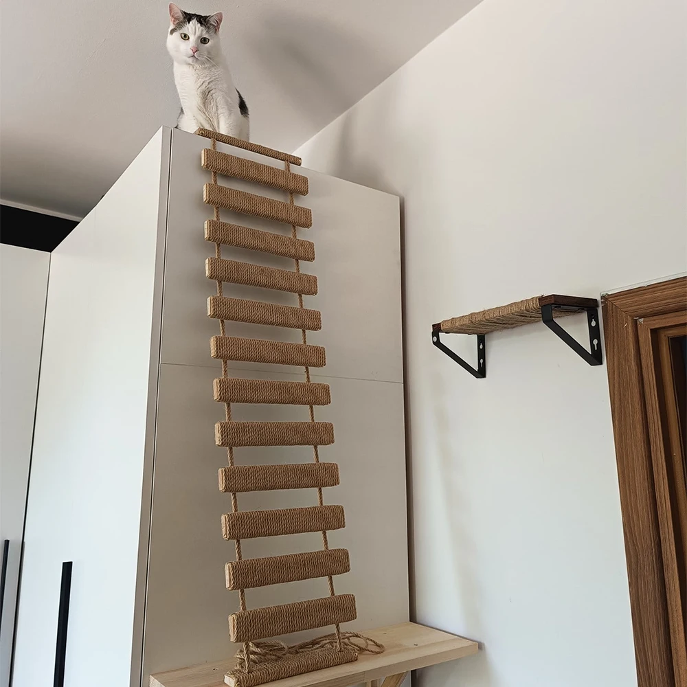 고양이 벽걸이 침대 고양이 해먹, 나무 긁힘 포스트 또는 계단, 새끼 고양이 놀이 및 수면용, 1 개