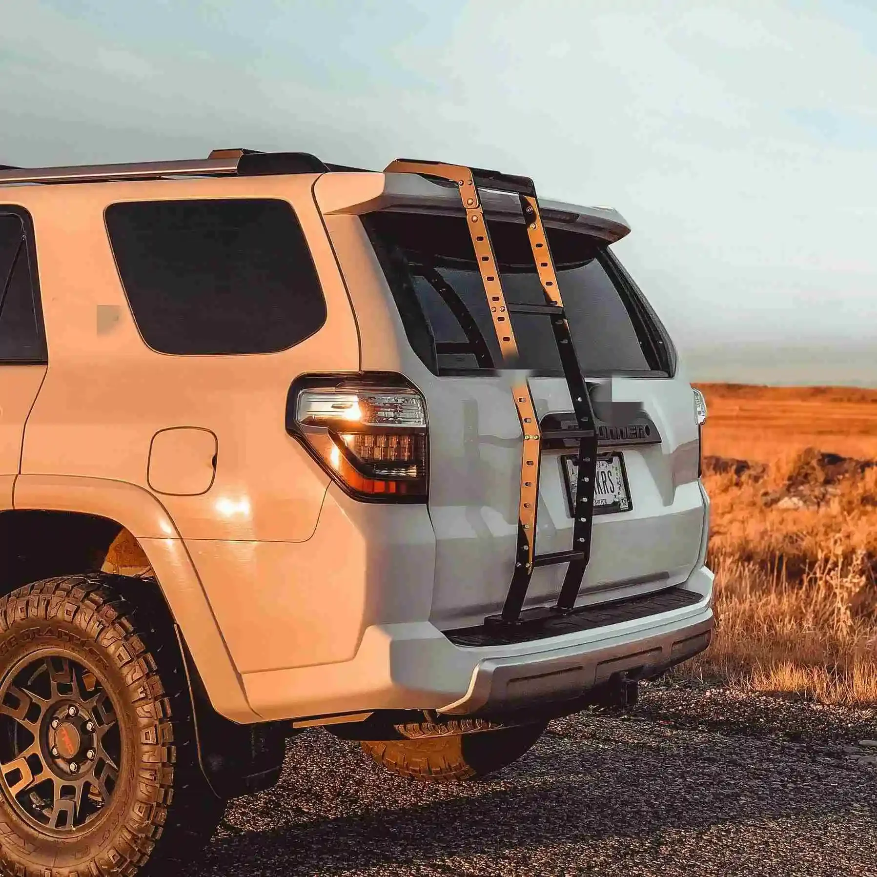 Spedking 2010-4x4 accessories Aluminum ladder for 4Runner