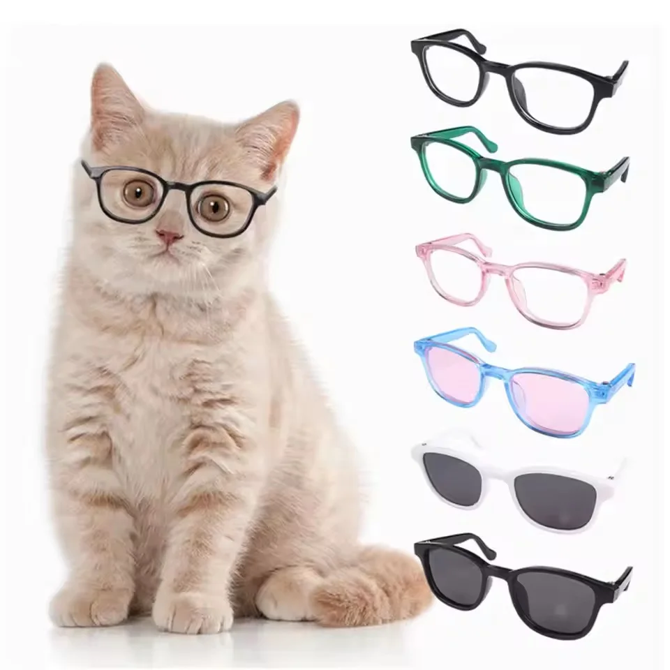 نظارات الحيوانات الأليفة نظارات شمسية صغيرة للحيوانات الأليفة نظارات شمسية أنيقة للحيوانات الأليفة للكلاب والقطط نظارات عصرية مقاومة للرياح صور دعائم ملحقات الحيوانات الأليفة