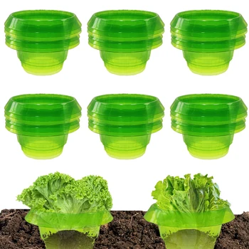 Reusable Garden Plant Cloches Bell Covers 1