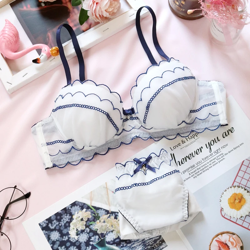 Simple Lingerie Set Sweet Mesh Embroidery Japanese Cute Lolita  Girls Underwear With Steel Rings Gathered Large Size Bra Sets