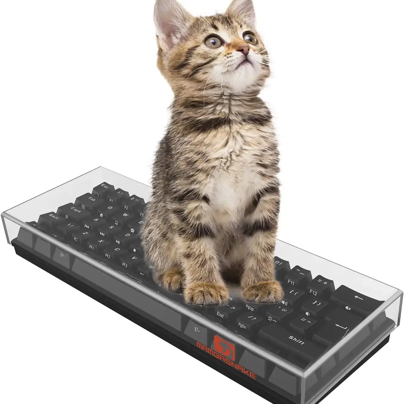 Housse De Protection Acrylique Transparente Pour Clavier 98 Touches - 44,2x16,5x4,8 Cm, étanche