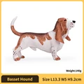 Basset Hound