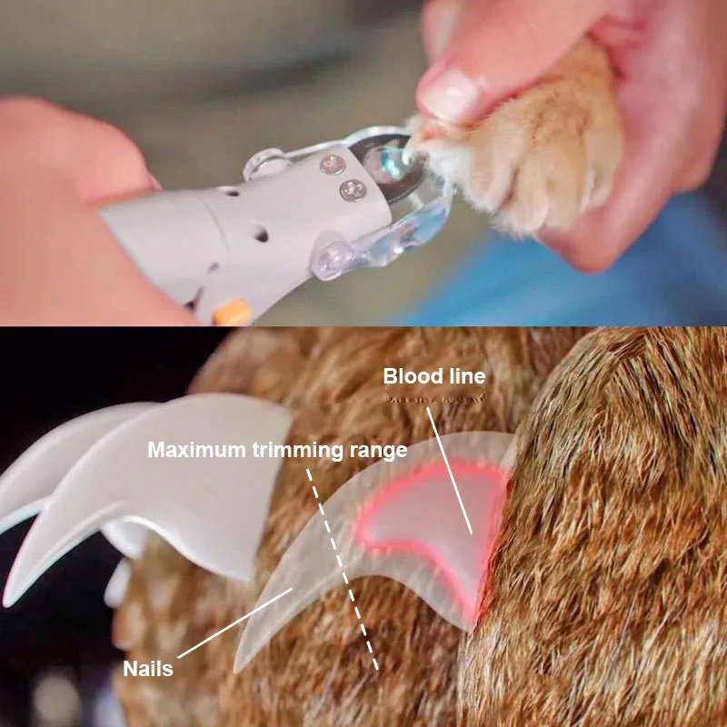 Household Pet Products Splash Proof Cat And Dog Nail Clipper LED Lamp Magnifying Glass Anti Cutting Blood Line Pet Nail Clipper