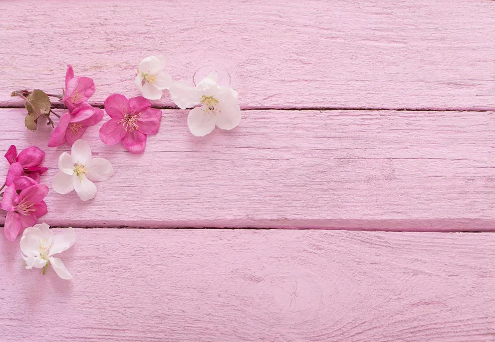 ȭƮ ũ    ö ׸  ,  ʻȭ,  ,    
