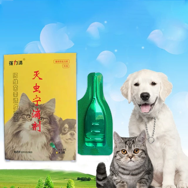 Can You Get Lice From Cats And Dogs