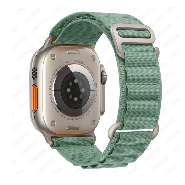 Luxury Alpine Loop Watch Strap Bracelet