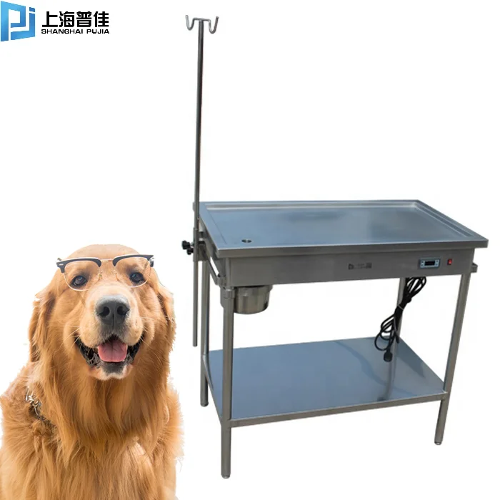 

Veterinary hospital essential surgical table stainless steel constant temperature diagnosis and treatment table