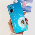 Case-c20