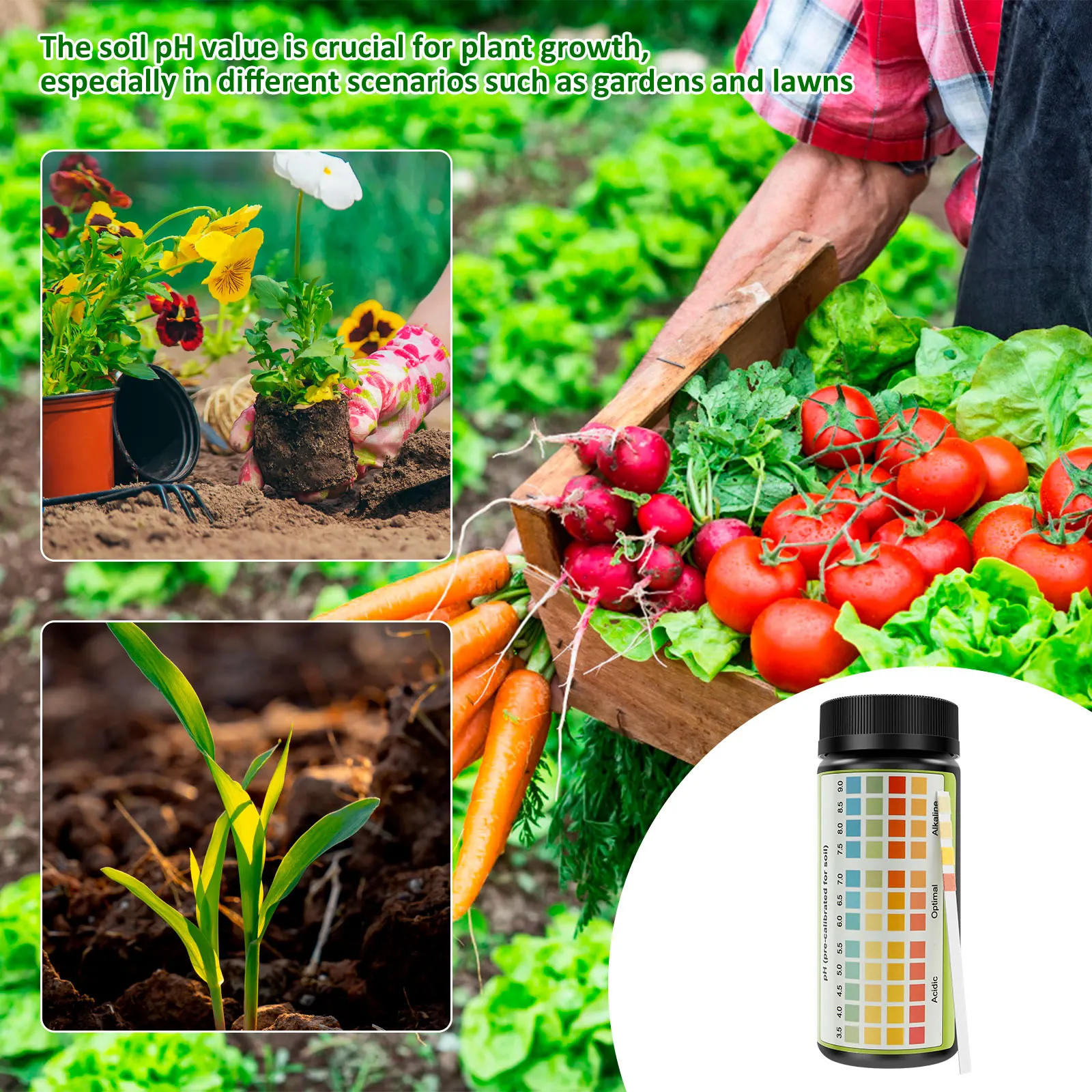 Soil pH Test Strips for Gardening and Lawn Care