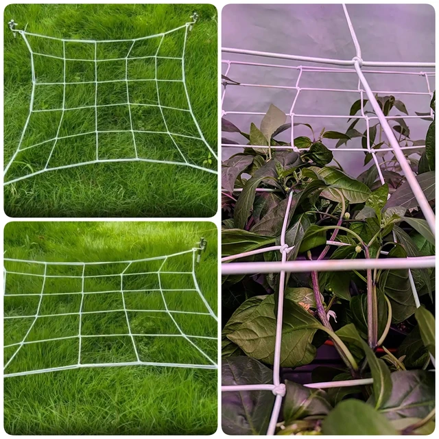 1Pc Plant Tent Branch Pressing Net Uniform Light Receiving Net Elastic Garden Flower Vegetable Grow Tent Trellis Netting 7 Sizes 6
