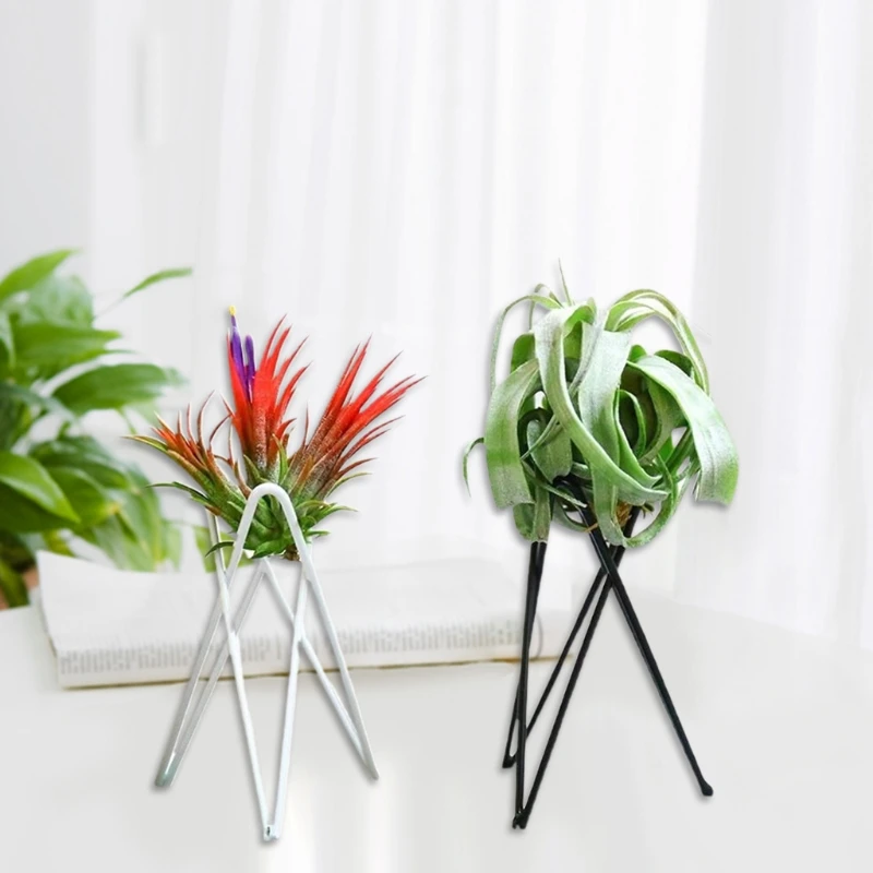 P82D Air Plant Holder Metal Flower Pot Stand Geometric Iron Tillandsia Holder Art Display Home Garden Ornaments