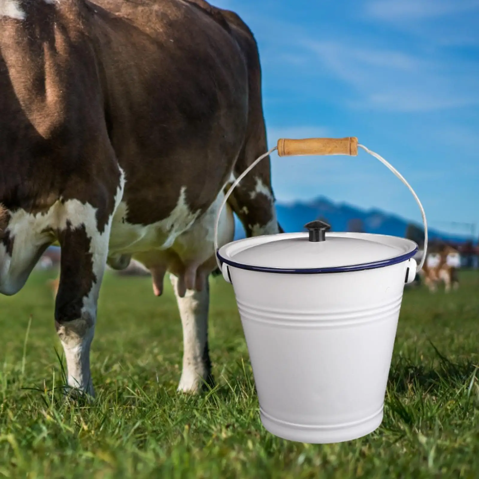 Enamel Water Bucket with Lid 9L Liquid Container Storage Cans for Garden Chilling Water Oil Rice Organizing Outdoor Activities