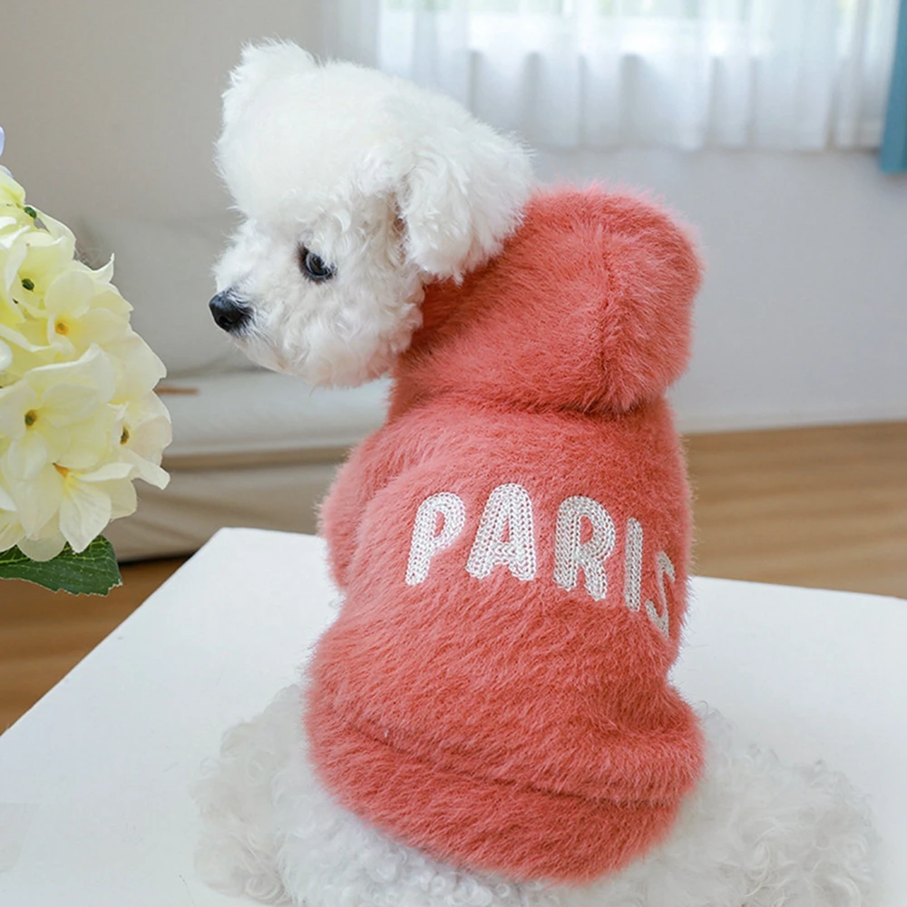 CoCo Designer Dog Hoodie