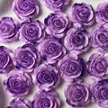 Color 3