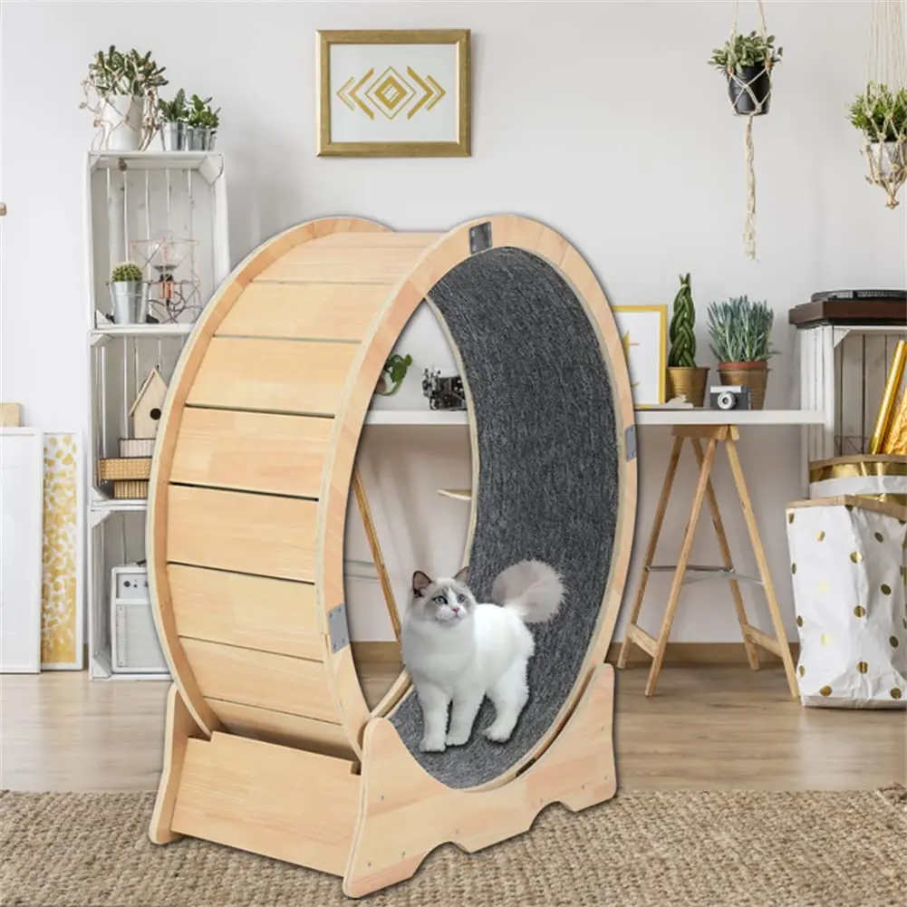 Moisture-Proof And Deformable Small Pet Treadmill Running Wheel