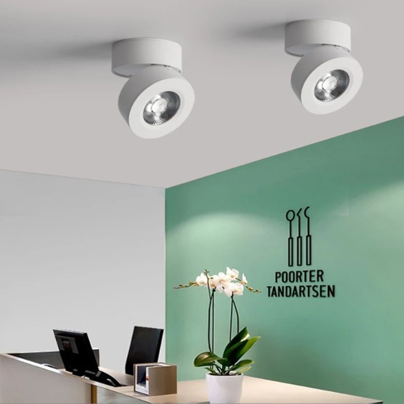 Modern LED Spotlight Living Room Bedroom Bedside Surface Mounted Ceiling Lamp Aisle Hallway Indoor Track Lightings
