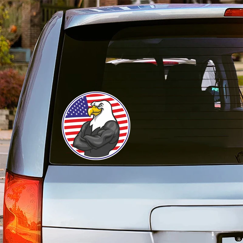 Рисунок 2 - Забавный Флаг США