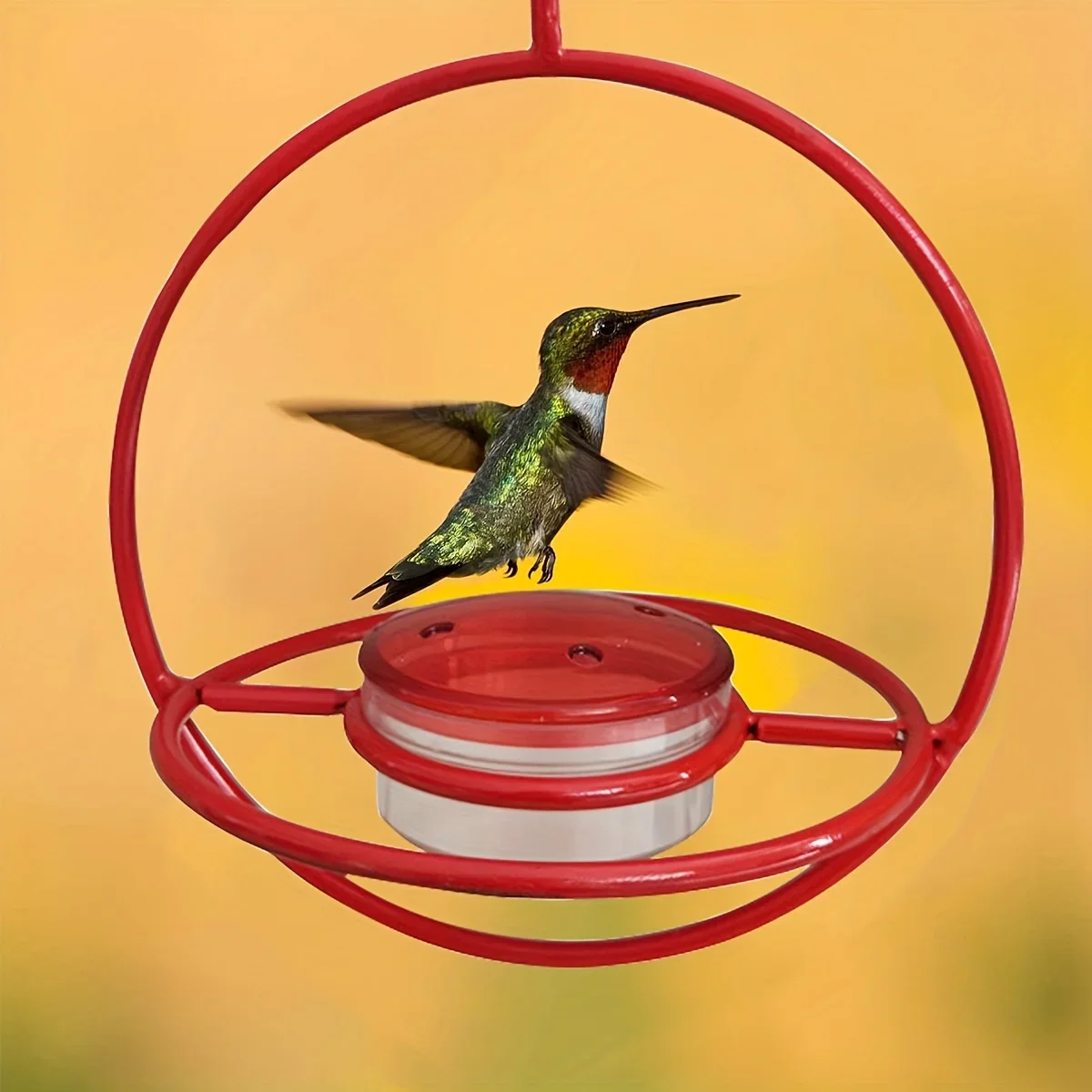 Hummingbird Drinker Feeder with Red Bowl Outdoor Humming Bird Feeder Attract Birds for Outside Garden Backyard Patio Deck