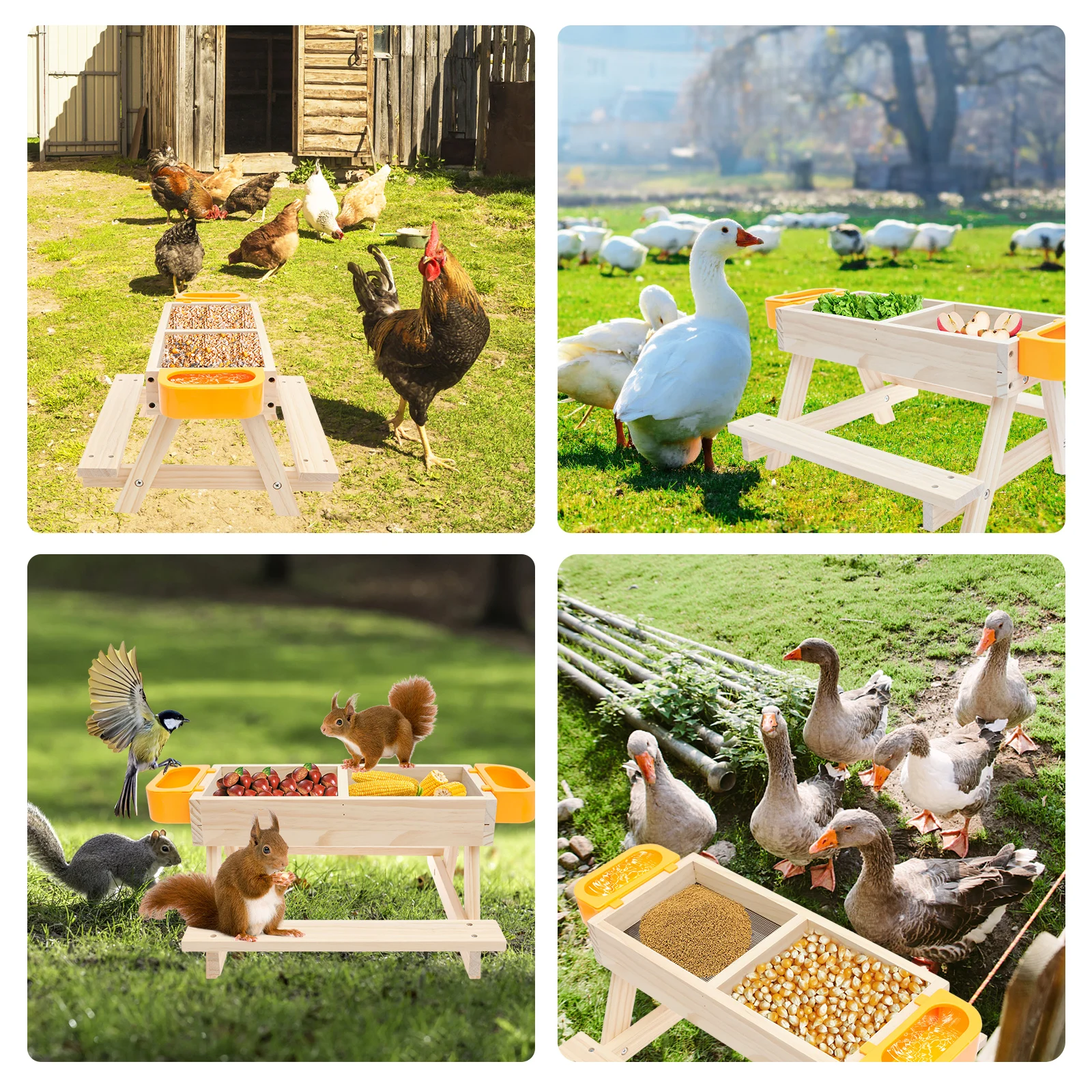 Kip aan de picknicktafel stock afbeelding. Afbeelding van holland